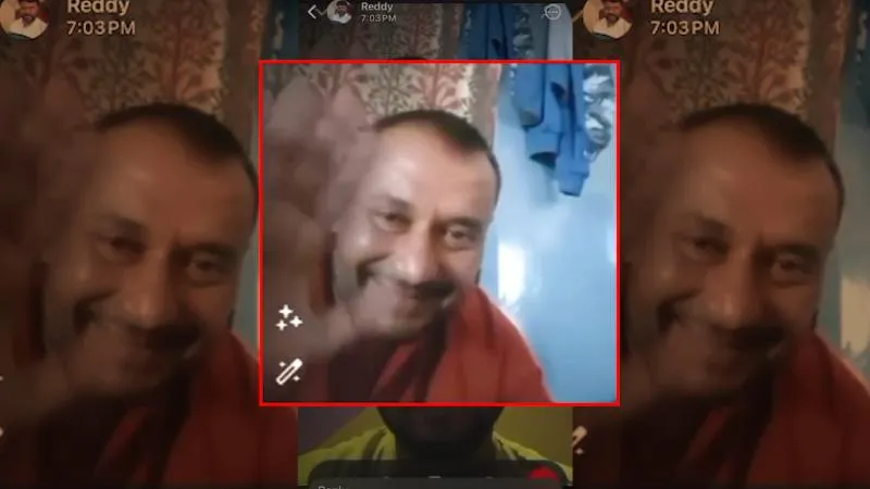 publive-image