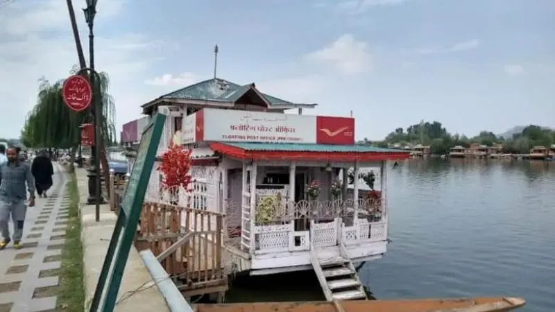 publive-image