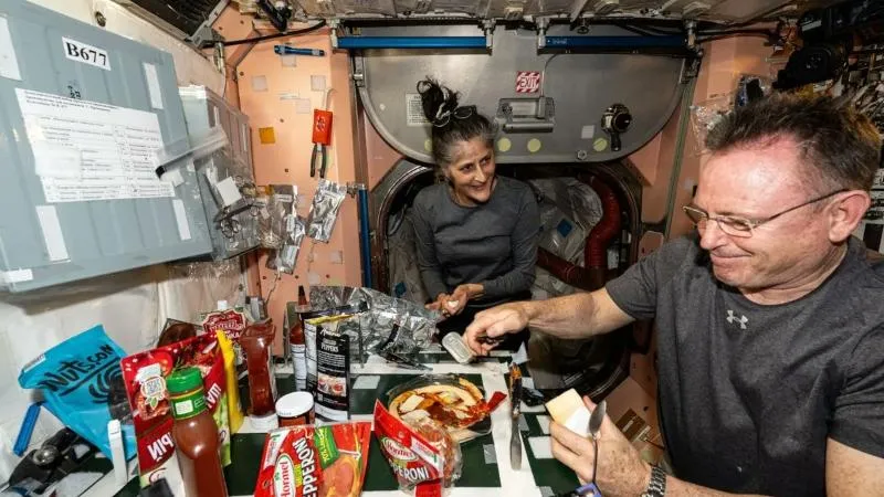 publive-image