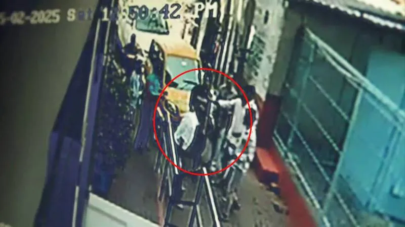 publive-image