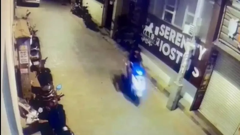publive-image