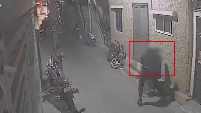 publive-image
