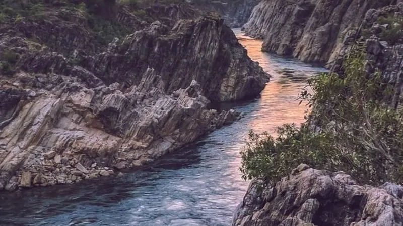 publive-image