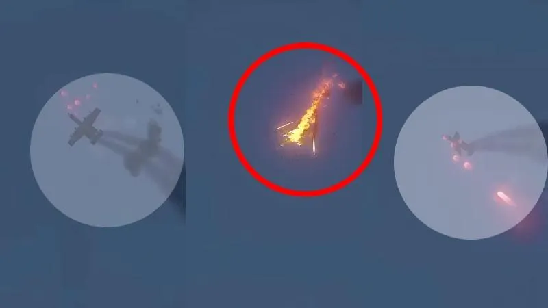 publive-image