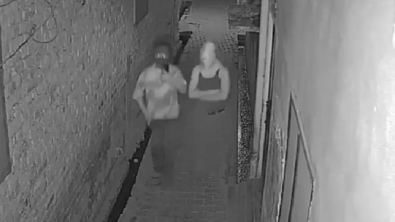 publive-image
