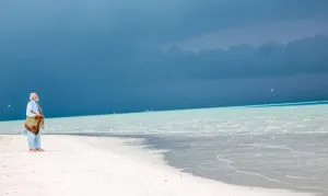 publive-image