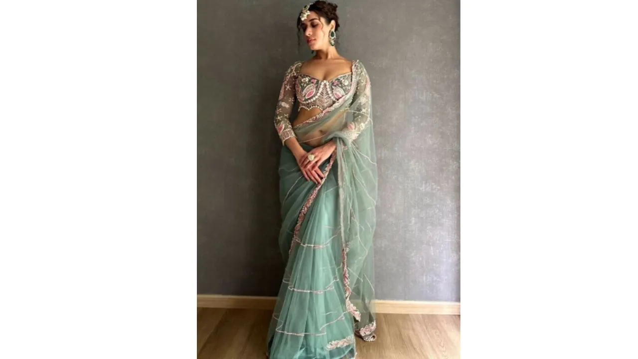 Beads and Stones Net Saree
