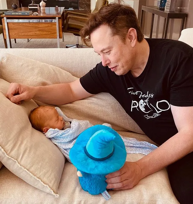 Elon Musk And Grimes Secretly Welcomed SECOND Child By Surrogate Mother - Olx Praca