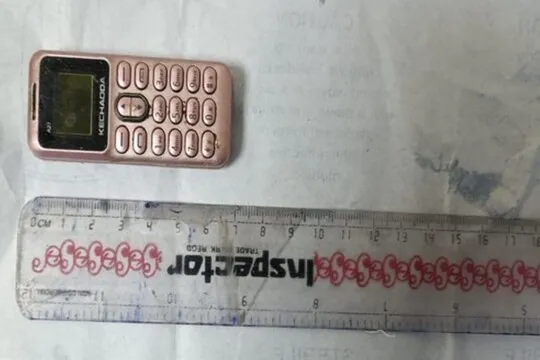 Tihar jail prisoner swallowed a six and a half inch mobile to escape from  police nodssp - तिहाड़ के कैदी ने निगल लिया मोबाइल, जानें कैसे बिना चीरे  डॉक्टरों ने बाहर निकाला &ndash;
