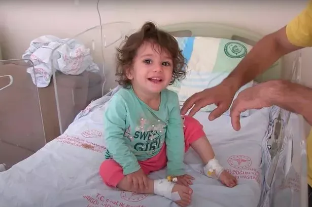 Raging toddler bites snake to death in revenge after it attacked her - Daily Star