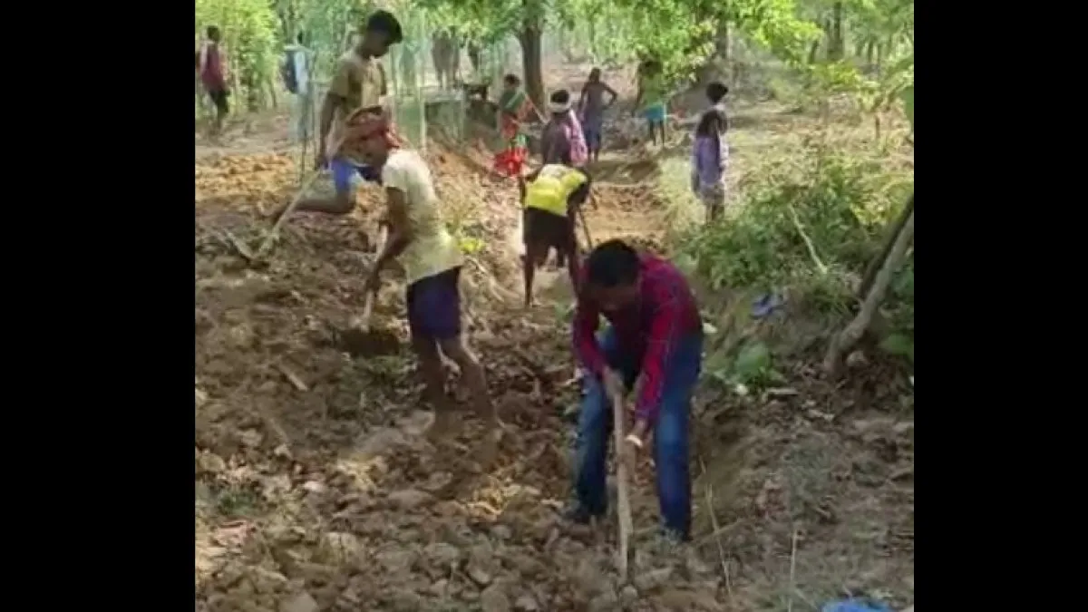  Bdo working with labour