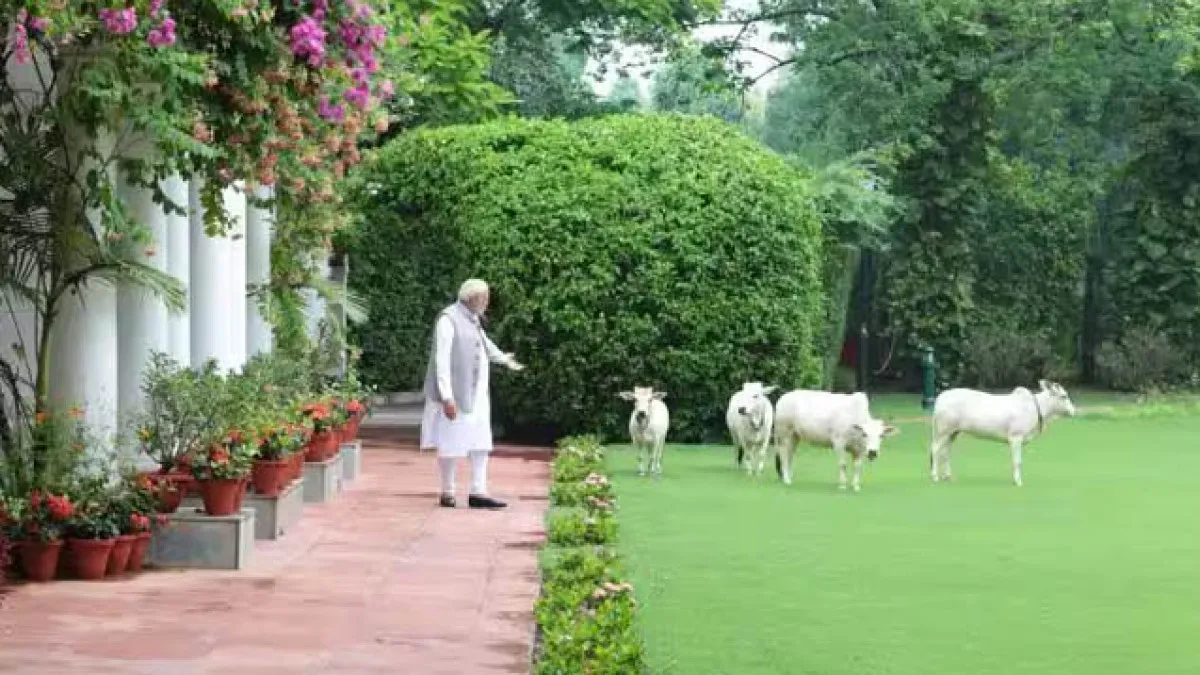 Modi in 7 lokakalyan marga