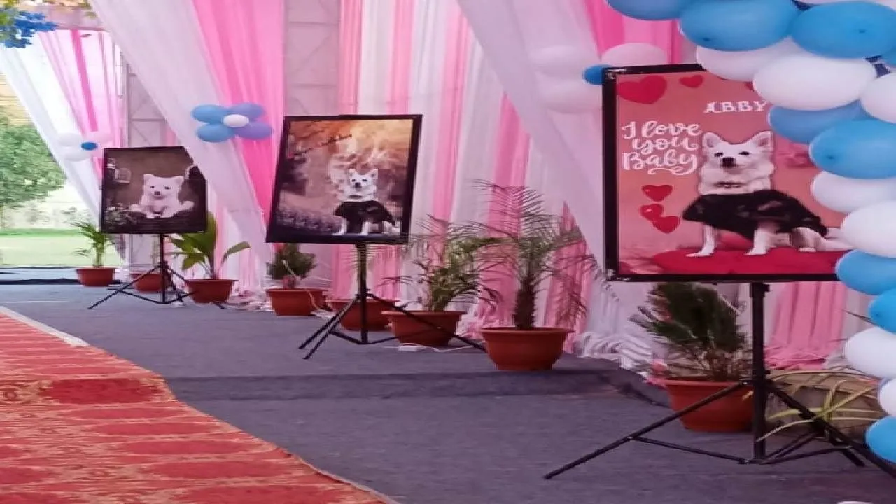 Viral News: 7 ಲಕ್ಷ ರೂ. ಖರ್ಚು ಮಾಡಿ ನಾಯಿಯ ಹುಟ್ಟುಹಬ್ಬ ಆಚರಿಸಿದ ಕುಟುಂಬ! | Viral News Dog gets a lavish party worth Rs 7 lakhs for Pet Dog birthday in Ahmedabad Photos Goes Viral | TV9 Kannada