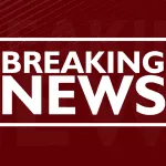 Sumona Chakraborty of The Kapil Sharma Show will soon get married, will be  the daughter-in-law of Rani Mukerji and Kajol's family - Informalnewz