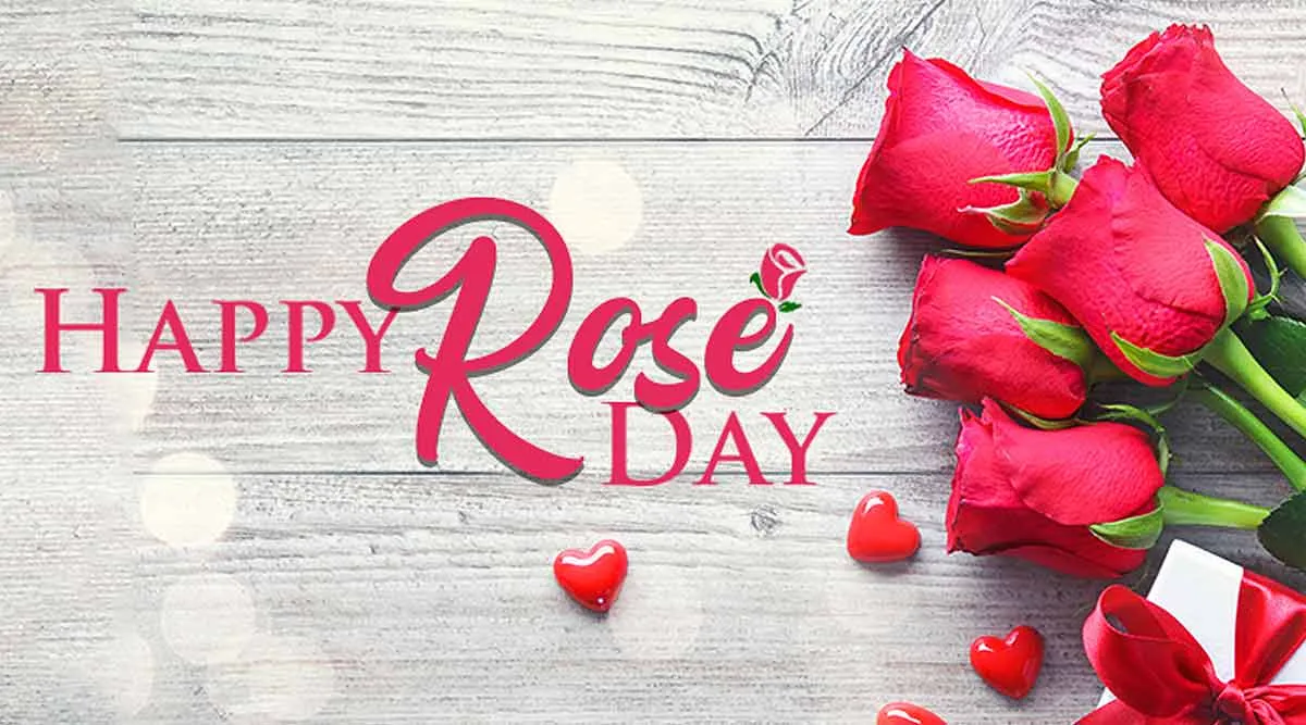 Image result for happy rose day