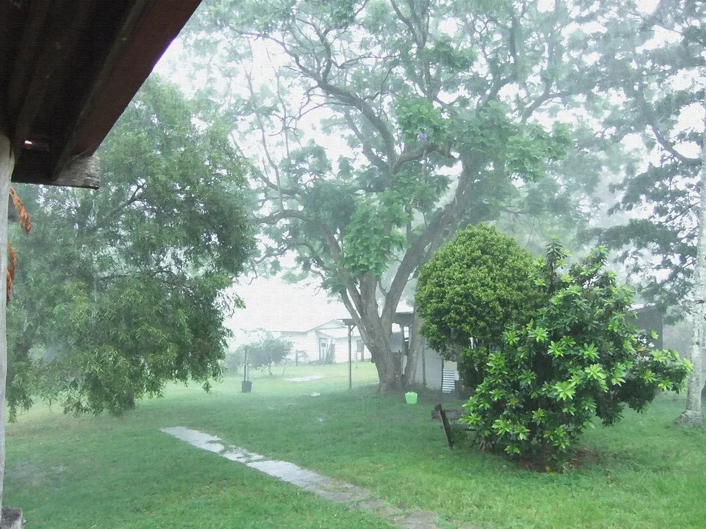 It's raining at the farm today..... | My backyard. You cant … | Flickr