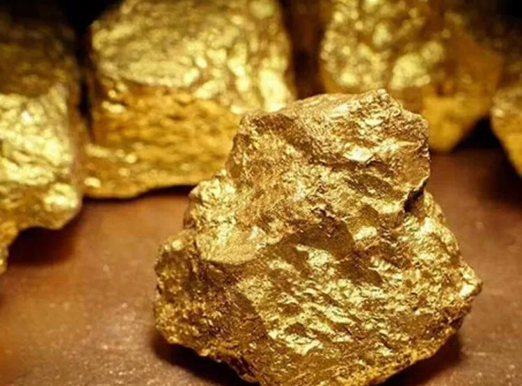 यहां की दो नदियों से मिलता है सोना, अब स्वर्ण भंडार मिलने की संभावना