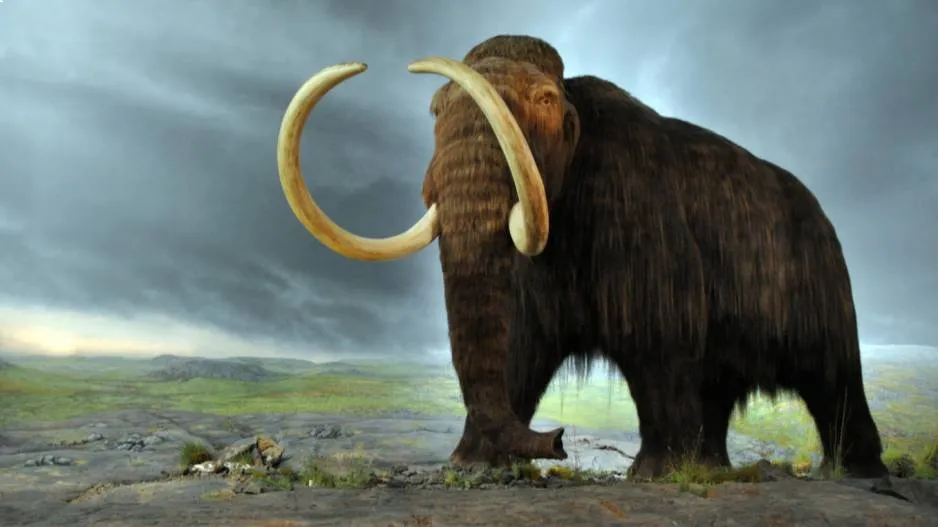 Giant Mammoths