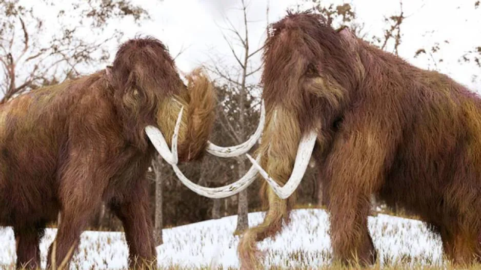 Giant Mammoths