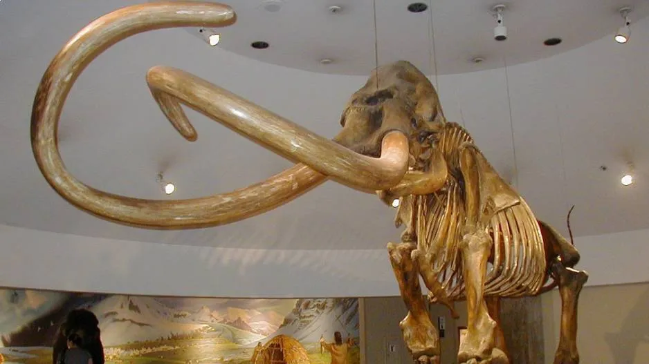 Giant Mammoths