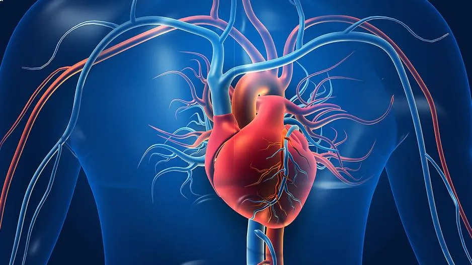 Lack of sleep cause heart attack