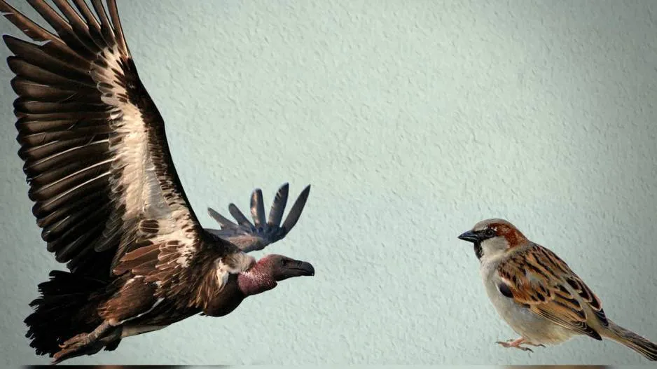 10 lakh species will extinct on earth in this century