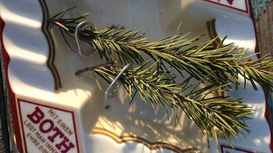 Crow gave a priceless gift