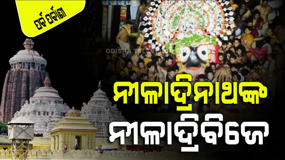 Ratha Jatra 2023 the rituals of Niladribije