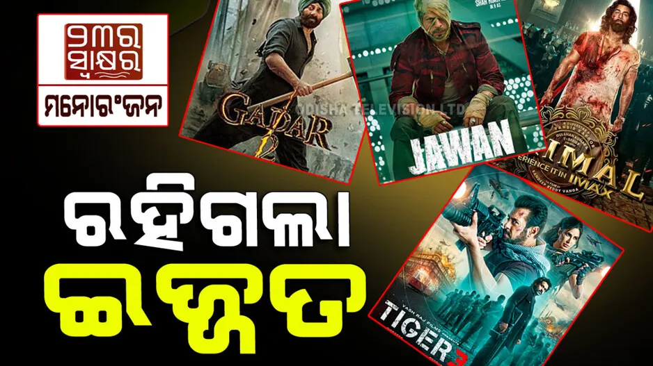 The top 5 films of 2023 changed the fortunes of bollywood