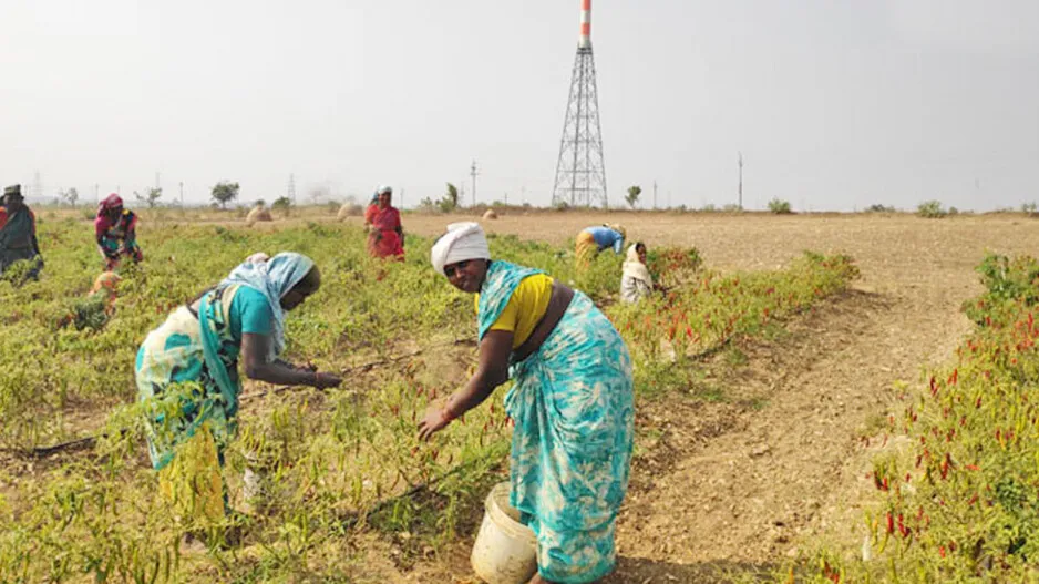 In this village everyone does farming