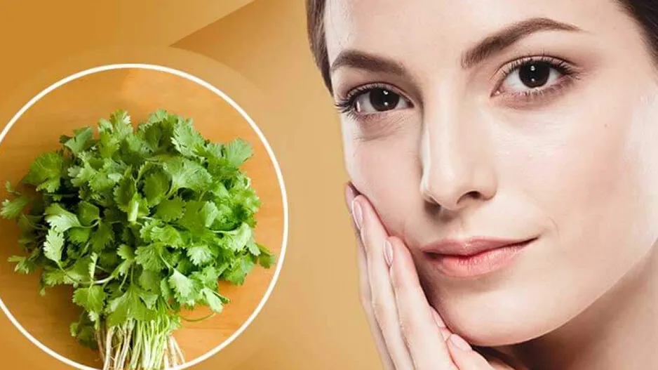 coriander leaves benefits