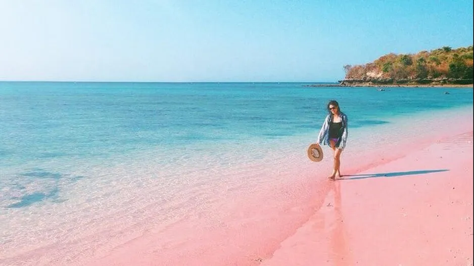 PINK BEACH, INDONESIA