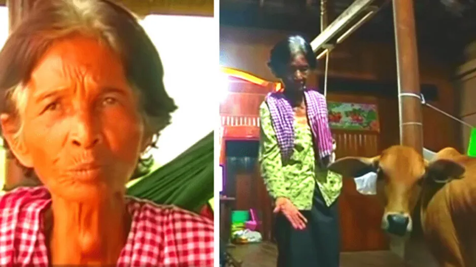 Woman marry cow thinks her to be reincarnation of dead husband