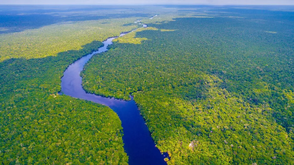 Amazon river
