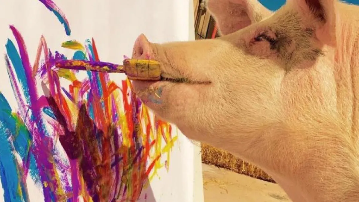 Viral pig painter pigcasso painting sold for 20 lakh rupees south Africa