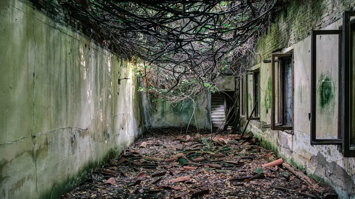 Poveglia Island