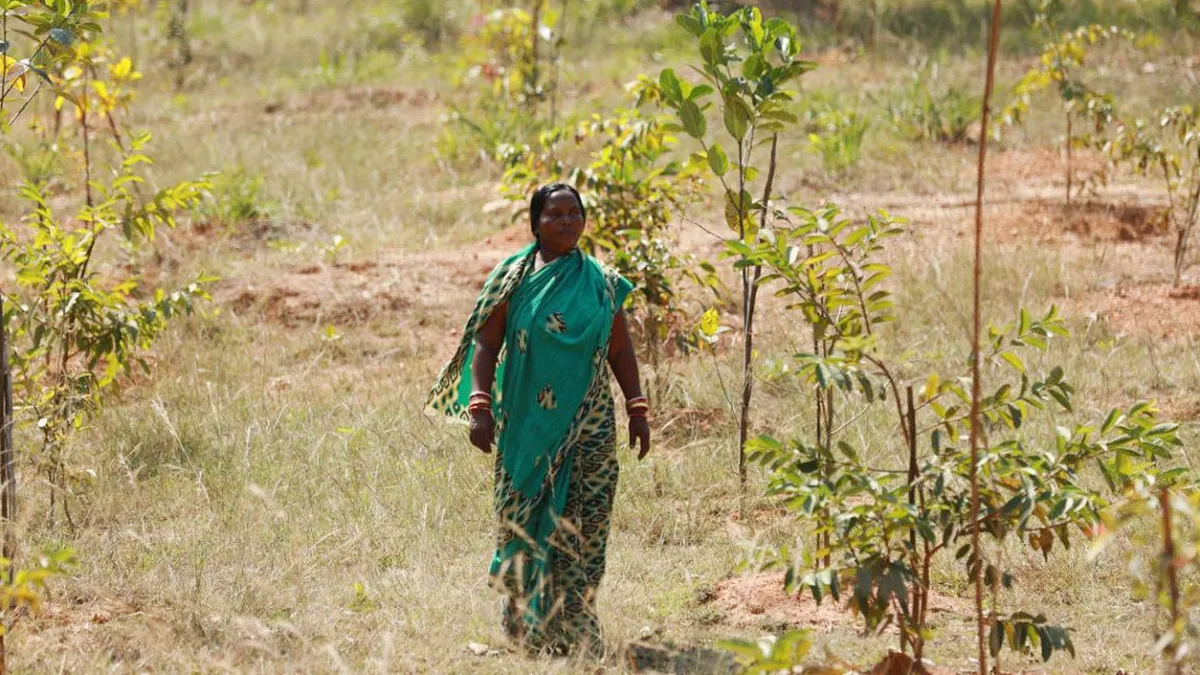 A Forest Has Been Named After A Daily Wager Woman In Odisha