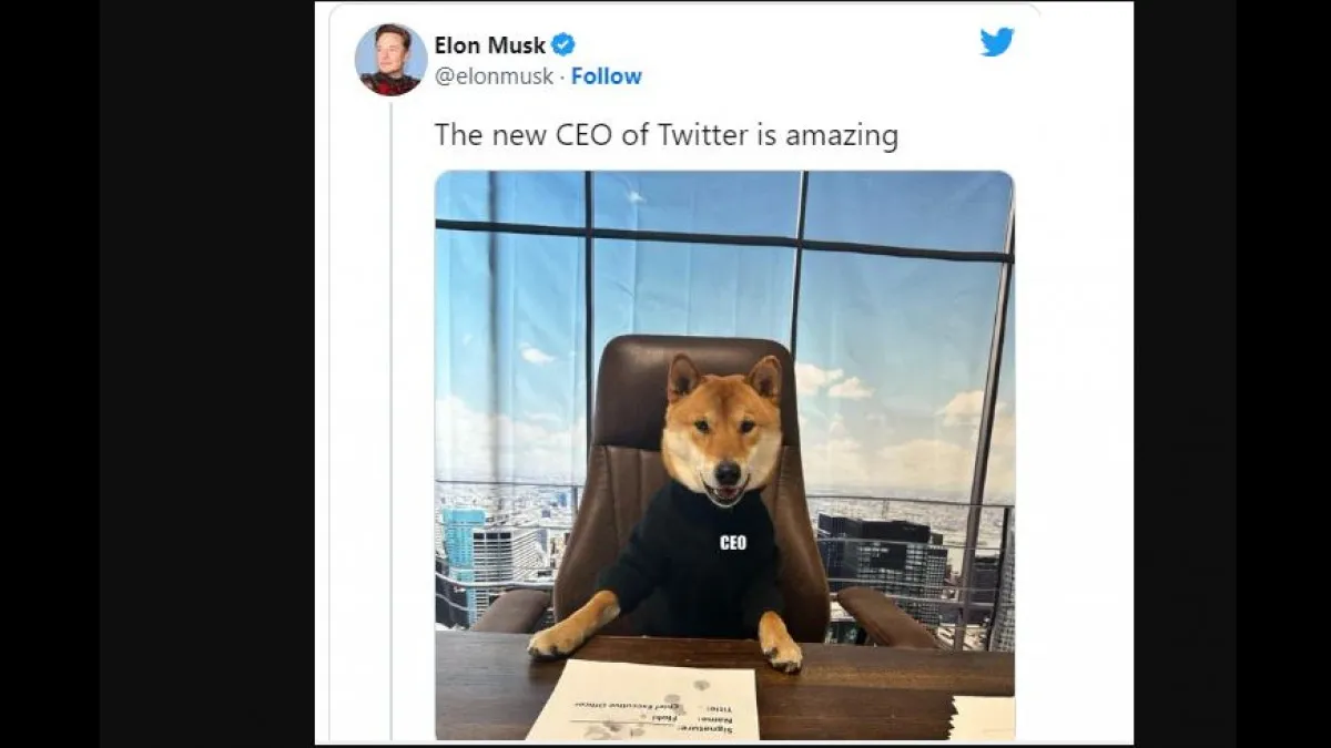 twitter logo changed