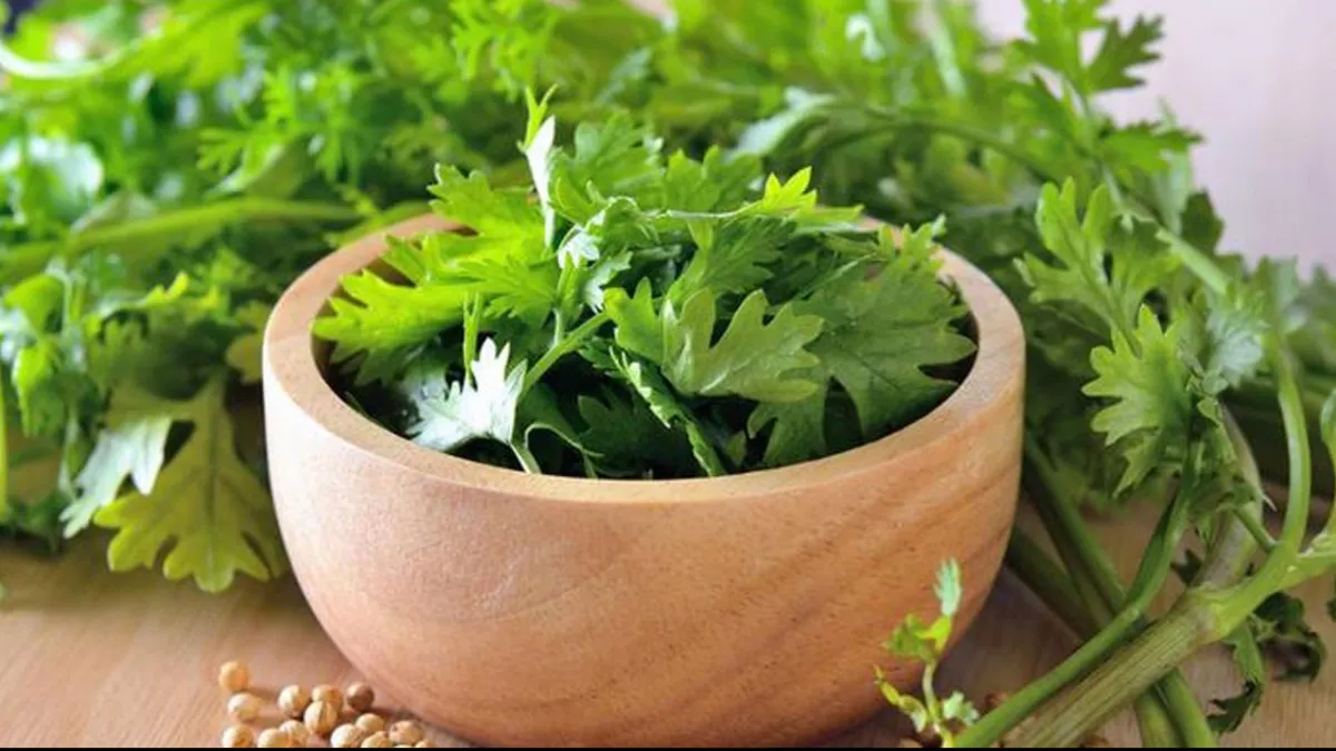 5 miraculous leaves will destroy uric acid
