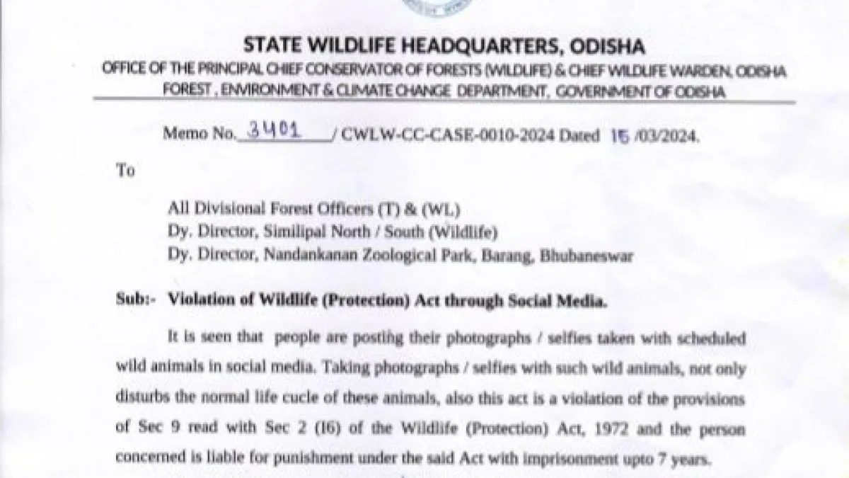 violation of wildlife act