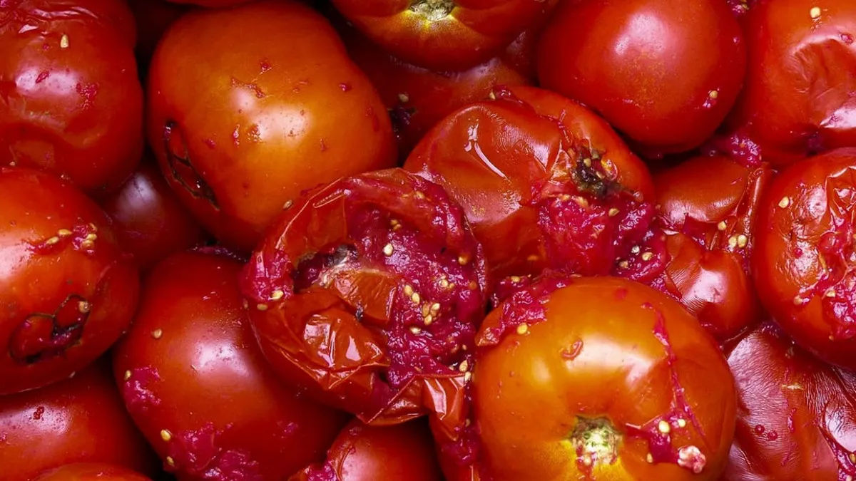 tips for bananas will not spoil no insects in pulses and rice