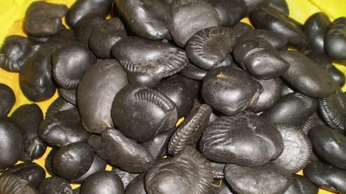 Story of Tulsi Vivah 