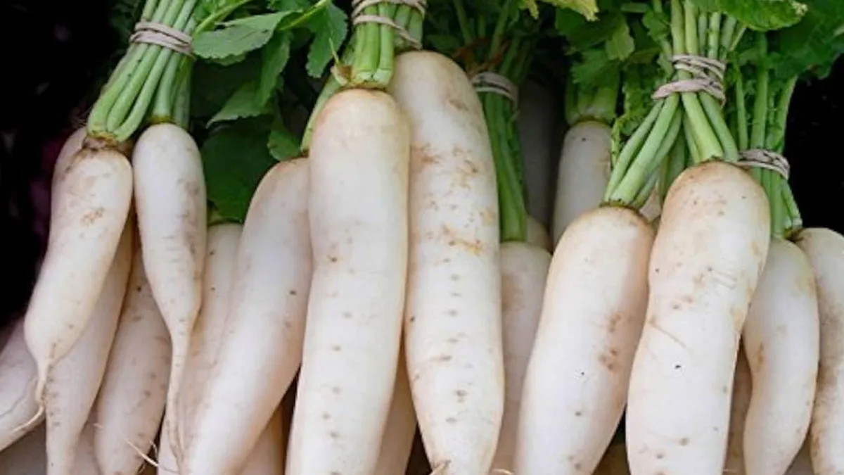 cultivate vegetables on the roof of your house
