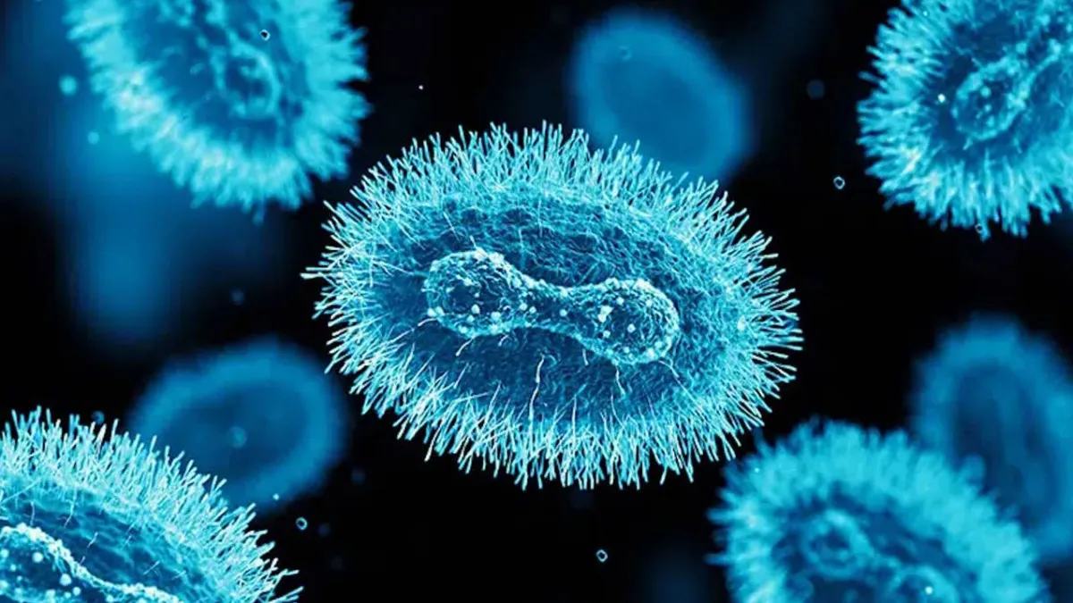 In 2024 top 5 dangerous diseases 