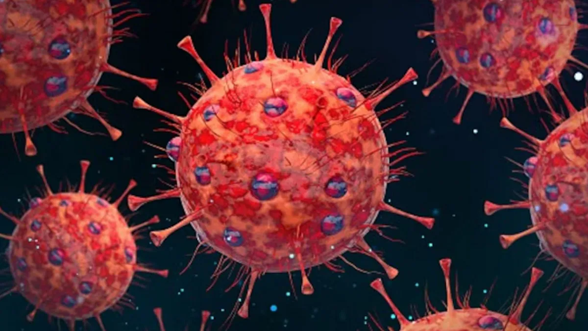 HMPV is spreading in India know some tips to avoid