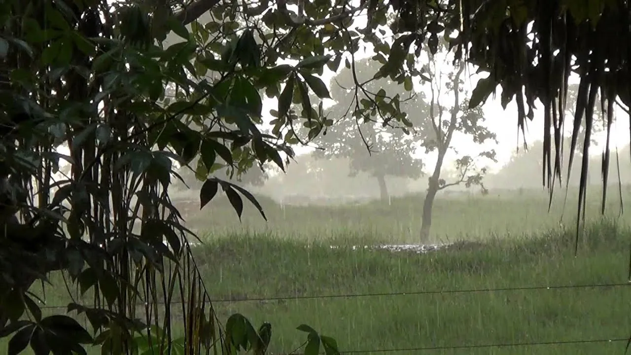 Rain on the farm, Sons of rain on the roof, Joy farmer, - YouTube