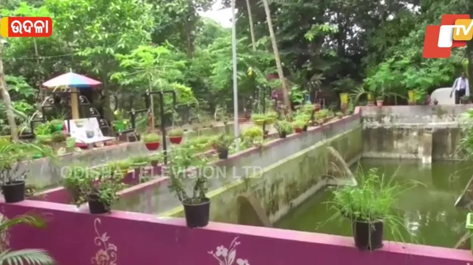 Dularam's Beautiful Park