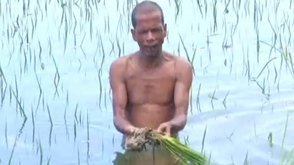 Lack Of Basic Amenities, Loss Of Crops Make Lives Miserable In These Odisha Villages