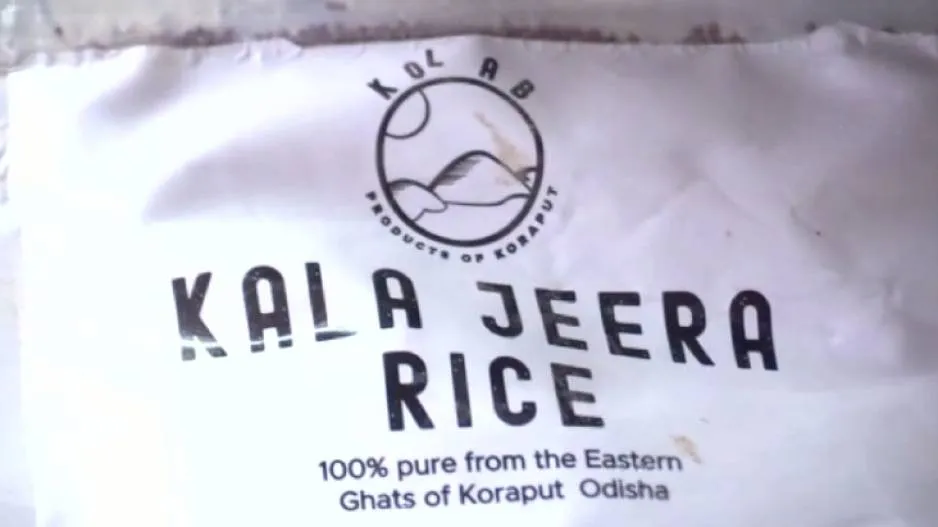 GI Tag Push For Koraput's Indigenous Rice Variety 'Kalajeera'
