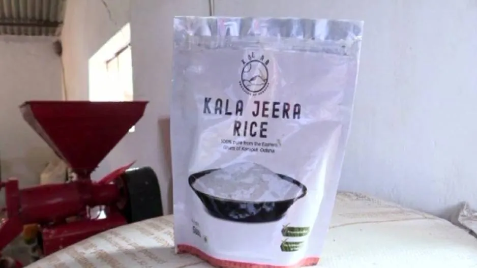GI Tag Push For Koraput's Indigenous Rice Variety 'Kalajeera'